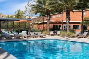 Commercial Pool Furnishings coordinated to your property for hotels, resorts, schools and entertainment spaces.
